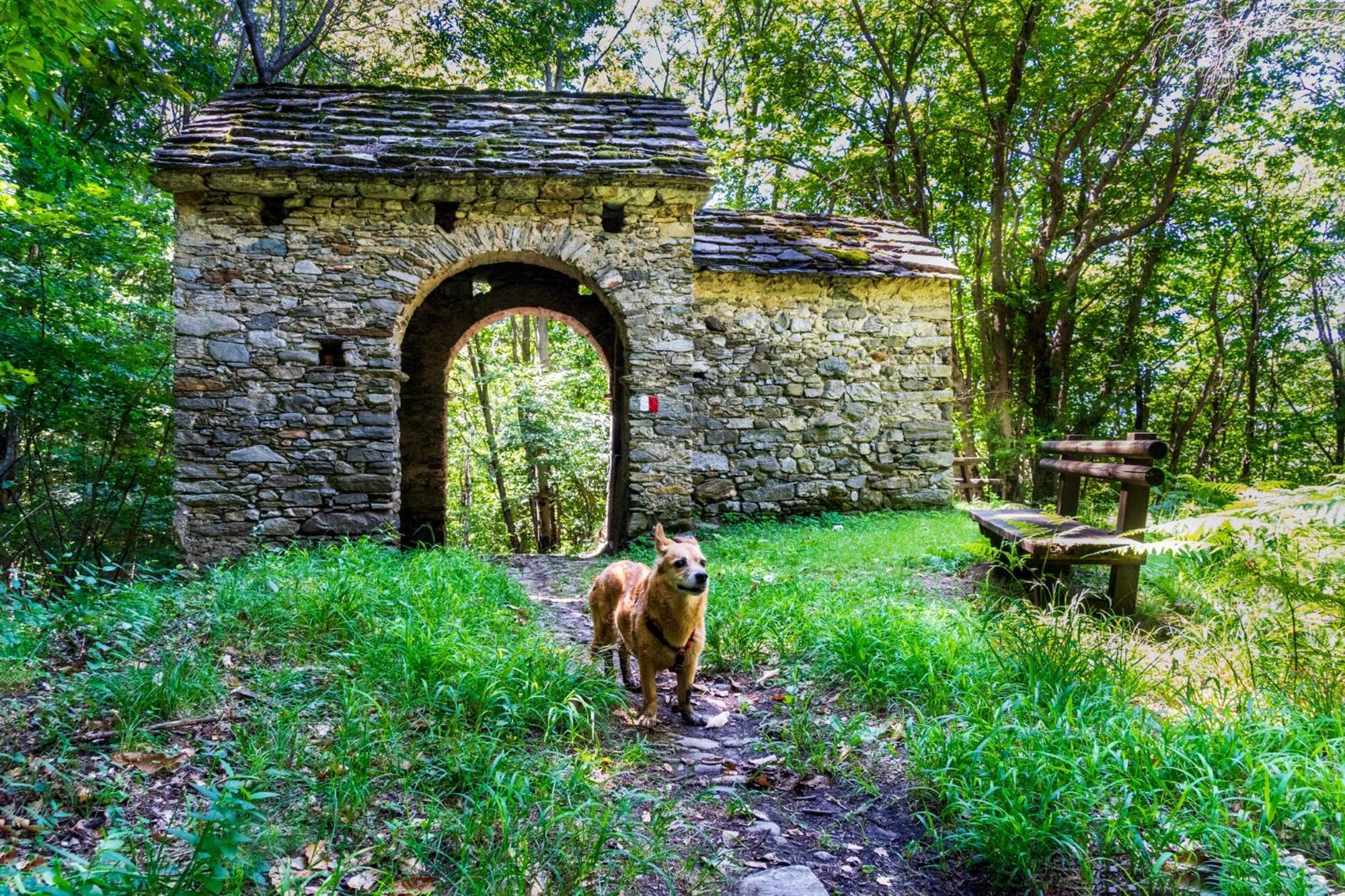 Casa Del Borgo "Aria & Acqua" Sul Lago Maggiore Maccagno Eksteriør bilde